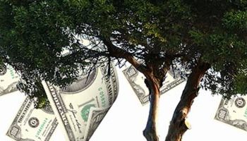 Entenda como funciona a delação premiada